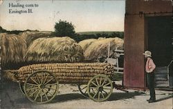 Hauling Corn to Emington, Ill. Postcard