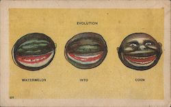 Evolution Watermelon Coon Racist Caricature Black Americana Postcard Postcard Postcard