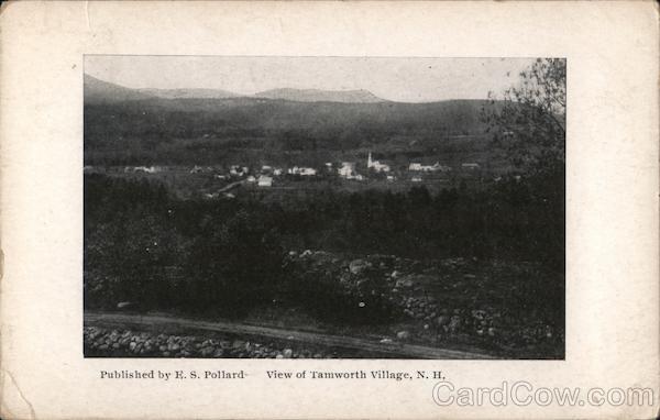 View of Tamworth Village New Hampshire Postcard