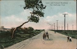 Lynn and Nahant Roadway, - The Half-way Tree Postcard