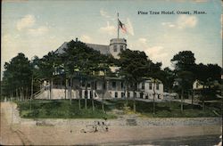 Pine Tree Hotel Postcard