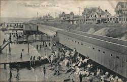 Bathing Beach Oak Bluffs, MA Postcard Postcard Postcard