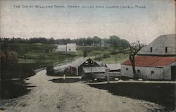 The Dip at Williams' Farm, Merr'k Valley Race Course Postcard