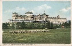 Mt. Washington Hotel Postcard