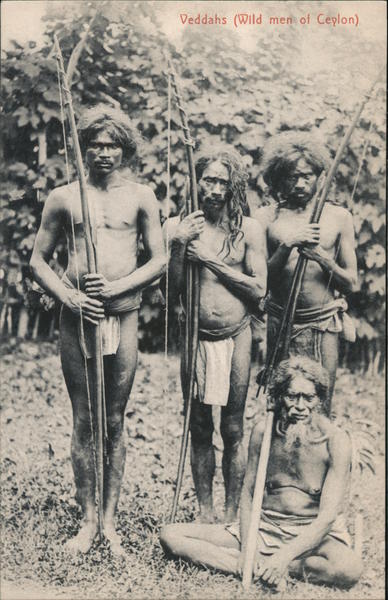 Veddahs (wild men of Ceylon) Sri Lanka Southeast Asia Postcard