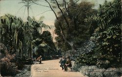 Municipal Gardens Postcard