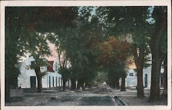 Street View, Cape Colony South Africa Postcard Postcard Postcard