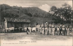 Départ pour la cueillette São José, Brazil Postcard Postcard Postcard