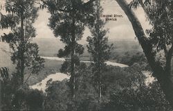 View Of Umgeni River Through Trees Howick, South Africa Postcard Postcard Postcard