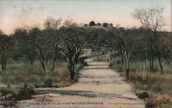 Road Leading to World's View Matopos, Rhodesia Africa Postcard Postcard Postcard