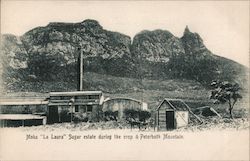 Moka District Sugar Estate During the Crop & Pieter Both Mountain Postcard