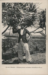 Native Carrying a Bundle of Vacoa Leaves Île de la Réunion, Réunion Africa Postcard Postcard Postcard