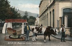 Madeira - Carro de bois Postcard