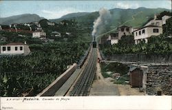 Madeira. Elevador do Monte Postcard