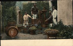 Madeira, legarde vinha Postcard