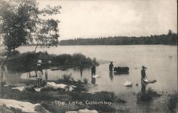 The Lake Postcard