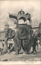 Maharaja's best elephant with Umbabari, Jaipur India Postcard Postcard Postcard