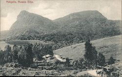 Hakgala Nuwara Eliya, Sri Lanka Southeast Asia Postcard Postcard Postcard