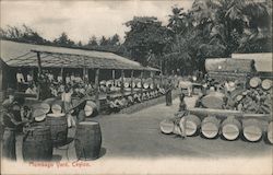 Plumbago Yard, Ceylon Postcard