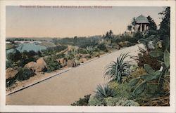 Botanical Gardens and Alexandra Avenue Melbourne, Australia Postcard Postcard Postcard