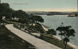 View of Domain, N.S.W. Postcard