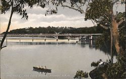 Fig Tree Lane, Cove River, N.S.W. Postcard