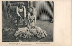 The Shearing Board Sydney, Australia Postcard Postcard Postcard