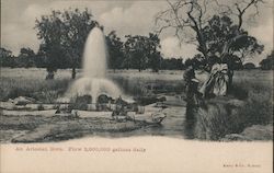 An Artesian Bore Well Australia Postcard Postcard Postcard