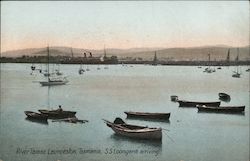 S.S. Loongana Arriving, River Tamar, Tasmania Launceston, Australia Postcard Postcard Postcard