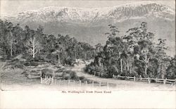 Mt.Wellington from Huon Road Tasmania, Australia Postcard Postcard Postcard