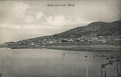 Bluff East From Wharf Postcard