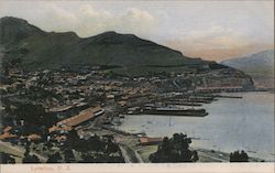 View of Town Postcard