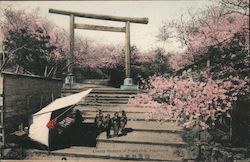 Cherry Blossom of Nogeyama Postcard