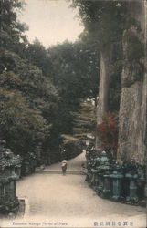 Entrance to Kasuga Shrine Postcard