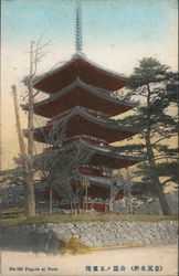 Pagoda at Nara Postcard