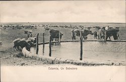 Estancia, Un Bebedero Postcard