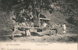 Rio de Janeiro Transporte no interior Postcard