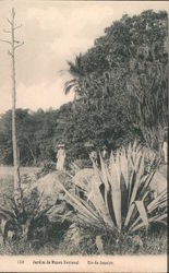 Jardim de Museu Nacional Rio de Janeiro, Brazil Postcard Postcard Postcard