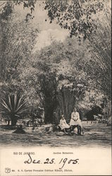 Botanical Garden Postcard