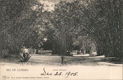 Jardim Botanico Postcard