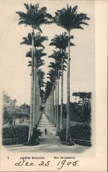 Jardim Botanico, Rio de Janeiro Postcard