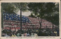 Living Flag Toledo, OH Postcard Postcard Postcard