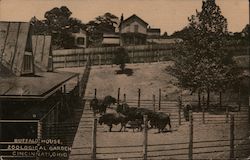 Buffalo House, Zoological Garden Cincinnati, OH Postcard Postcard Postcard