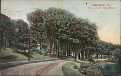 Montpelier Postcard