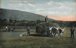 Haying at the Retreat farm Postcard