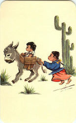 Typical Mexican Views Postcard