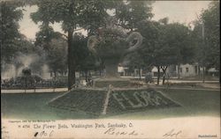 The Flower Beds, Washington Park Postcard