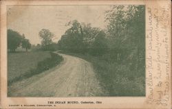 The Indian Mound Postcard