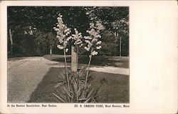 At the Newton Santorium, Near Boston Postcard