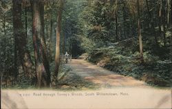 Road Through Torrey's Woods South Williamstown, MA Postcard Postcard Postcard